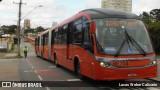 Transporte Coletivo Glória BE704 na cidade de Curitiba, Paraná, Brasil, por Lucas Weber Calizario. Número da foto: #7620429.