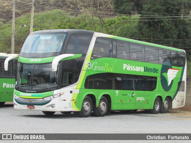 Pássaro Verde 12123 na cidade de Viçosa, Minas Gerais, Brasil, por Christian  Fortunato. ID da foto: 7623025.