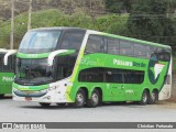 Pássaro Verde 12123 na cidade de Viçosa, Minas Gerais, Brasil, por Christian  Fortunato. Número da foto: #7623025.