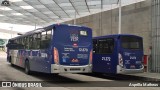 Auto Viação Bragança Metropolitana > Viação Raposo Tavares 12.879 na cidade de São Paulo, São Paulo, Brasil, por Asprilla Matheus. Número da foto: #7576032.