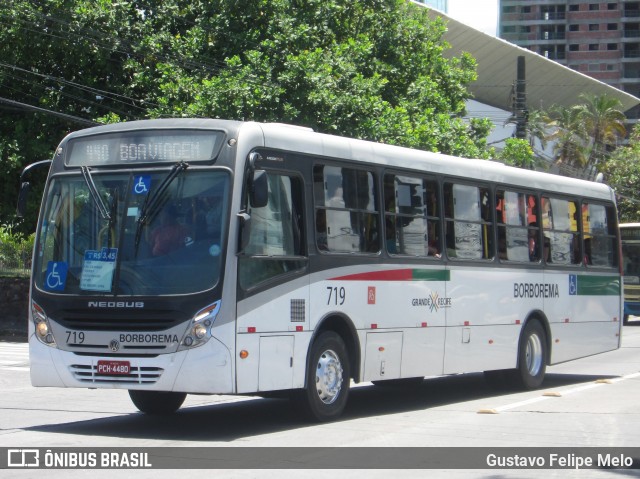 Borborema Imperial Transportes 719 na cidade de Recife, Pernambuco, Brasil, por Gustavo Felipe Melo. ID da foto: 7626324.