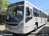 Viação Tamandaré 16L65 na cidade de Curitiba, Paraná, Brasil, por Carlos Júnior. Número da foto: #7625835.