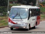 Rouxinol 1825 na cidade de Belo Horizonte, Minas Gerais, Brasil, por Gabriel de Figueiredo Alves. ID da foto: :id.