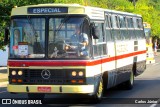Viação Castelo Branco 100 na cidade de Curitiba, Paraná, Brasil, por Carlos Júnior. Número da foto: #7628182.