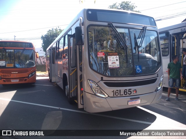 Viação Tamandaré 16L65 na cidade de Curitiba, Paraná, Brasil, por Mayron Cesar  Colaço Teixeira. ID da foto: 7631999.