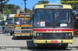 Viação Castelo Branco 100 na cidade de Curitiba, Paraná, Brasil, por Carlos Júnior. Número da foto: #7631763.
