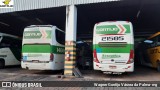 Empresa Gontijo de Transportes 21585 na cidade de Uberlândia, Minas Gerais, Brasil, por Wagner Gontijo Várzea da Palma-mg. Número da foto: #7630731.
