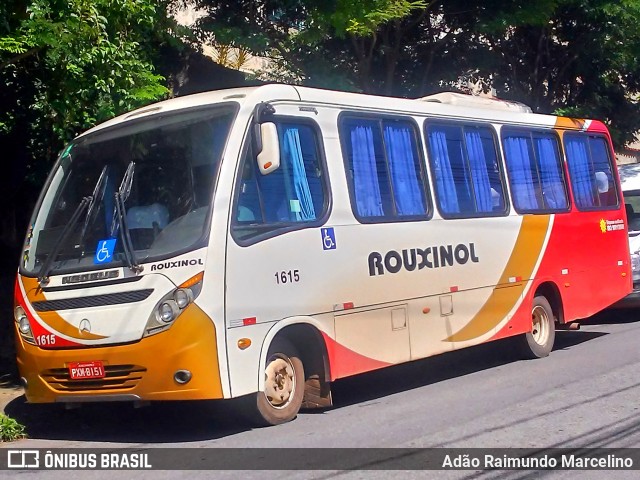 Rouxinol 1615 na cidade de Belo Horizonte, Minas Gerais, Brasil, por Adão Raimundo Marcelino. Número da foto: #7634311.