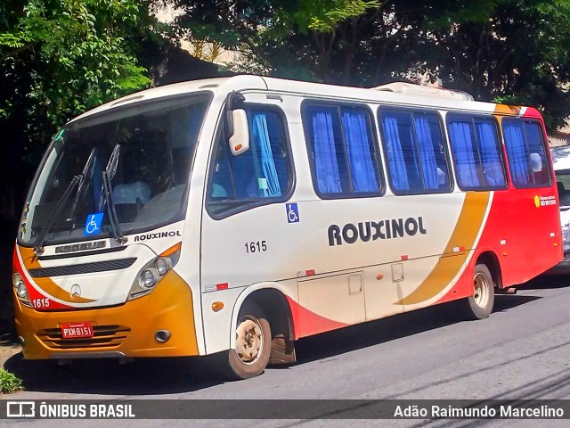 Rouxinol 1615 na cidade de Belo Horizonte, Minas Gerais, Brasil, por Adão Raimundo Marcelino. ID da foto: 7634311.