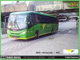 Pássaro Verde 19169 na cidade de Belo Horizonte, Minas Gerais, Brasil, por Valter Francisco. Número da foto: #:id.