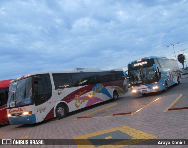 Pullman Carmelita 67 na cidade de La Serena, Elqui, Coquimbo, Chile, por Araya Daniel . Número da foto: #7640869.
