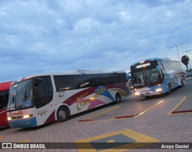 Pullman Carmelita 67 na cidade de La Serena, Elqui, Coquimbo, Chile, por Araya Daniel . ID da foto: 7640869.