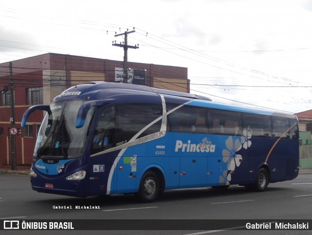 Princesa do Norte 43431 na cidade de Ponta Grossa, Paraná, Brasil, por Gabriel Michalski. Número da foto: #7640434.