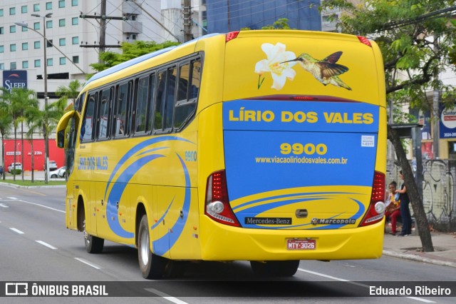 Viação Lírio dos Vales 9900 na cidade de Vitória, Espírito Santo, Brasil, por Eduardo Ribeiro. ID da foto: 7639977.