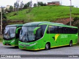 Pássaro Verde 1048 na cidade de Viçosa, Minas Gerais, Brasil, por Luis Soares. Número da foto: #:id.