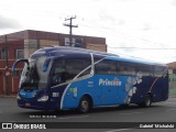 Princesa do Norte 43431 na cidade de Ponta Grossa, Paraná, Brasil, por Gabriel Michalski. Número da foto: #7640434.