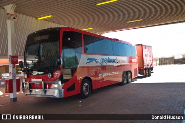 Greyhound Australia 826 na cidade de Darwin, Austrália, por Donald Hudson. Número da foto: #7642218.