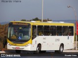Viação Pioneira 221139 na cidade de Santa Maria, Distrito Federal, Brasil, por Ricardo Vieira. Número da foto: #7647568.
