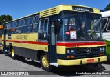 Viação Castelo Branco 100 na cidade de Curitiba, Paraná, Brasil, por Ricardo Novo de Magalhaes. Número da foto: #:id.