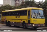 Viação Itapemirim 30195 na cidade de São Paulo, São Paulo, Brasil, por Douglas Paternezi. Número da foto: #7649995.