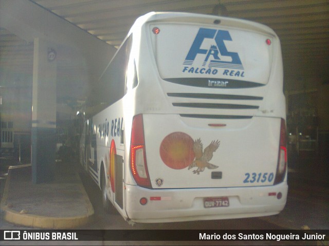 Falcão Real 23150 na cidade de Salvador, Bahia, Brasil, por Mario dos Santos Nogueira Junior. Número da foto: #7653060.