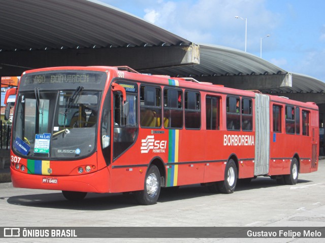 Borborema Imperial Transportes 307 na cidade de Recife, Pernambuco, Brasil, por Gustavo Felipe Melo. ID da foto: 7653181.