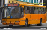Expresso Azul JC316 na cidade de Curitiba, Paraná, Brasil, por Carlos Júnior. Número da foto: #7663045.
