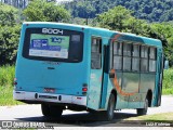 Transpal - Transportadora São Pedro de Alcântara 8004 na cidade de Juiz de Fora, Minas Gerais, Brasil, por Luiz Krolman. Número da foto: #7659055.