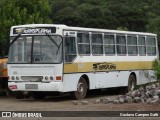 Transplama Transporte e Comércio 7937 na cidade de Campos Novos, Santa Catarina, Brasil, por Gustavo Campos Gatti. Número da foto: #7659165.