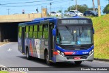 Transportes Capellini 19.034 na cidade de Campinas, São Paulo, Brasil, por Ricardo Silva Monteiro. Número da foto: #:id.