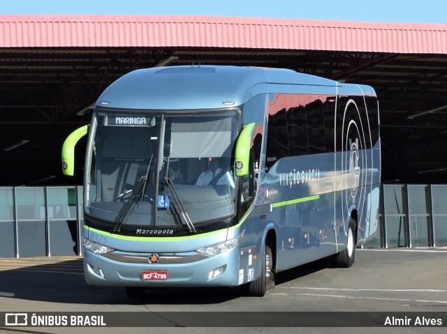 Viação Garcia 8175 na cidade de Londrina, Paraná, Brasil, por Almir Alves. Número da foto: #7581323.
