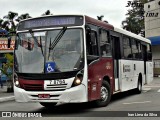 Transwolff Transportes e Turismo 7 8764 na cidade de São Paulo, São Paulo, Brasil, por Iran Lima da Silva. Número da foto: #:id.