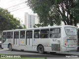 Viação Tamandaré 16L37 na cidade de Curitiba, Paraná, Brasil, por Sergio Oliveira. Número da foto: #:id.