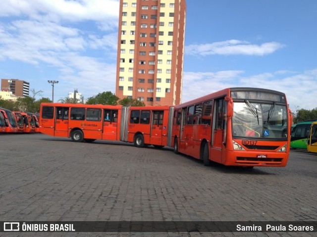Transporte Coletivo Glória BD137 na cidade de Curitiba, Paraná, Brasil, por Samira  Paula Soares. Número da foto: #7582416.