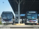 Transportes Machado RJ 162.039 na cidade de Duque de Caxias, Rio de Janeiro, Brasil, por Roger Silva. Número da foto: #:id.