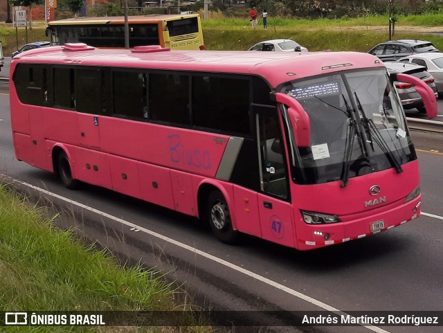 BIUSA 47 na cidade de San José, San José, Costa Rica, por Andrés Martínez Rodríguez. Número da foto: #7585121.