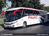 Turismo Pavão 19301 na cidade de Rio de Janeiro, Rio de Janeiro, Brasil, por Gabriel Henrique Lima. Número da foto: #:id.