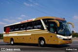 Empresa de Ônibus Pássaro Marron 080 na cidade de São Paulo, São Paulo, Brasil, por Rodney Cruz. Número da foto: #:id.