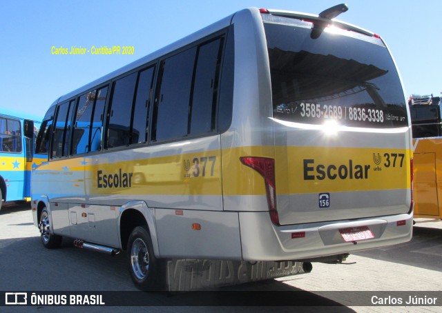 Escolares 377 na cidade de Curitiba, Paraná, Brasil, por Carlos Júnior. Número da foto: #7712855.