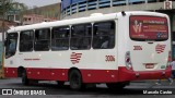 Empresa de Ônibus Pássaro Marron 3006 na cidade de Aparecida, São Paulo, Brasil, por Marcelo Castro. Número da foto: #7712258.