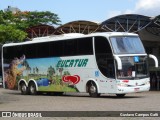 Eucatur - Empresa União Cascavel de Transportes e Turismo 2308 na cidade de Joinville, Santa Catarina, Brasil, por Gustavo Campos Gatti. Número da foto: #7710582.