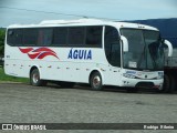 Águia 1619 na cidade de Eldorado do Sul, Rio Grande do Sul, Brasil, por Rodrigo  Ribeiro. Número da foto: #:id.