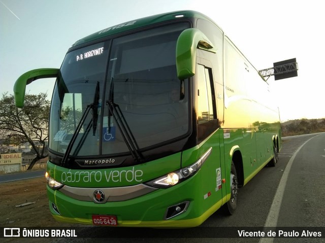 Pássaro Verde 19152 na cidade de Itaúna, Minas Gerais, Brasil, por Vicente de Paulo Alves. Número da foto: #7717300.