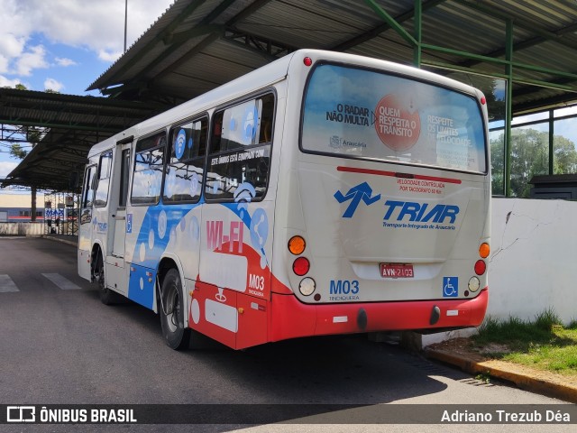 Viação Tindiquera M03 na cidade de Araucária, Paraná, Brasil, por Adriano Trezub Déa. Número da foto: #7714533.