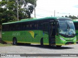 Pássaro Verde 15141 na cidade de Viçosa, Minas Gerais, Brasil, por Christian  Fortunato. Número da foto: #:id.