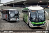 Pássaro Verde 11105 na cidade de Belo Horizonte, Minas Gerais, Brasil, por Vicente de Paulo Alves. Número da foto: #7721944.