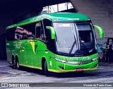 Pássaro Verde 19149 na cidade de Belo Horizonte, Minas Gerais, Brasil, por Vicente de Paulo Alves. Número da foto: #7722643.
