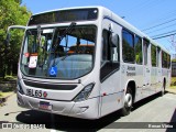 Viação Tamandaré 16L65 na cidade de Curitiba, Paraná, Brasil, por Renan Vieira. Número da foto: #7719978.