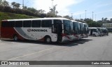 Rouxinol 343 na cidade de Contagem, Minas Gerais, Brasil, por Carlos ASA. Número da foto: #7723681.
