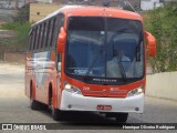 Rodoviária Caruaruense 729 na cidade de Caruaru, Pernambuco, Brasil, por Henrique Oliveira Rodrigues. Número da foto: #:id.